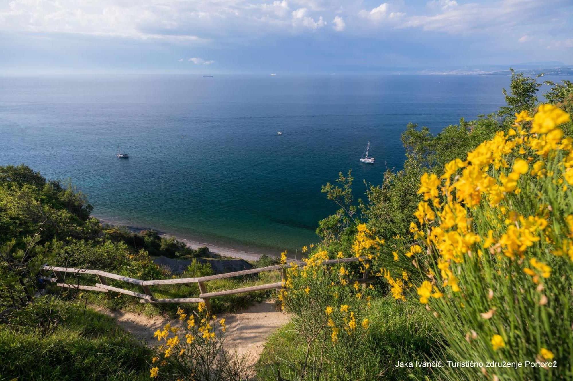 Apartments Souranded By Forest With Sea View Koper Exteriér fotografie