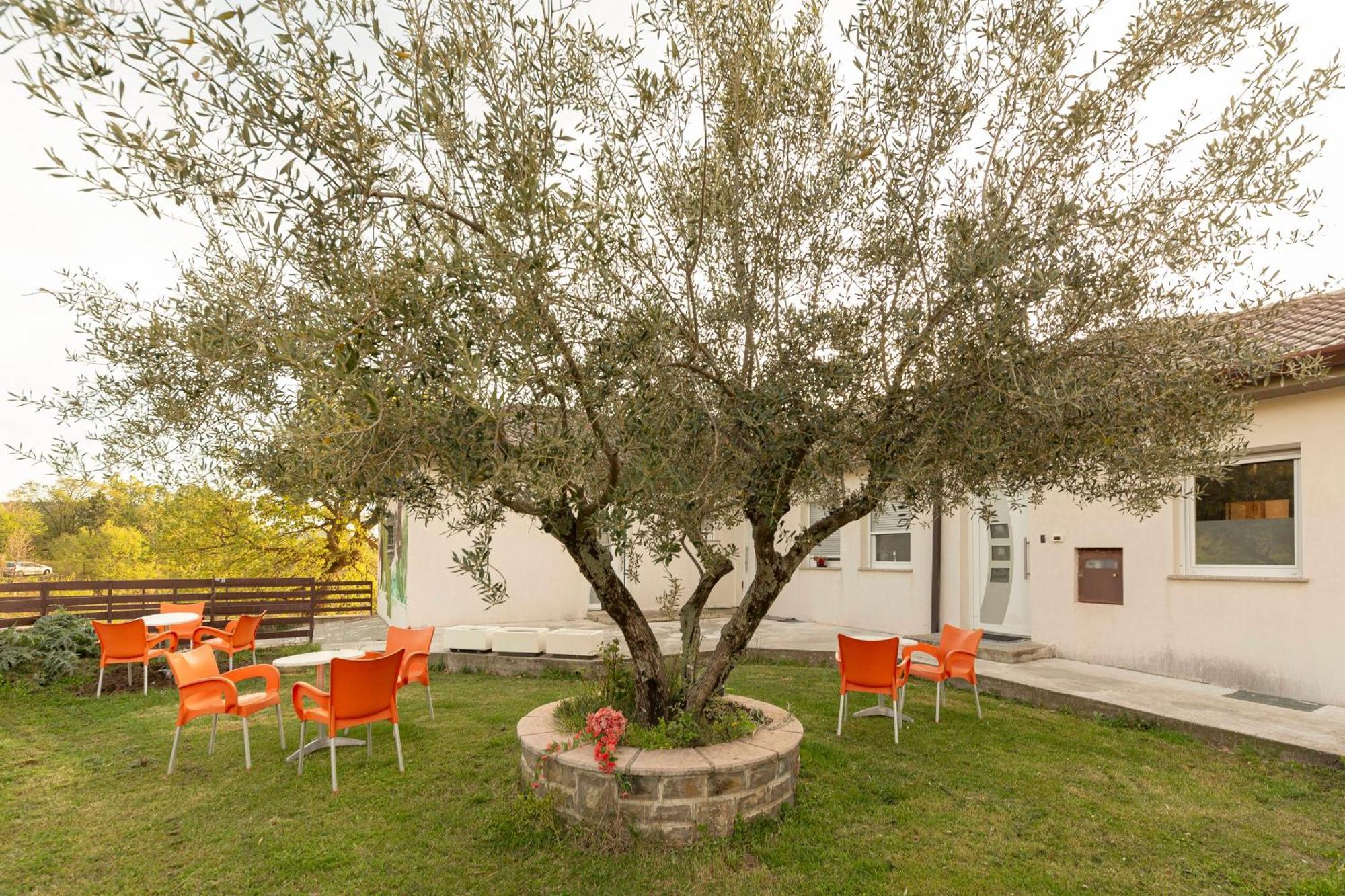 Apartments Souranded By Forest With Sea View Koper Exteriér fotografie
